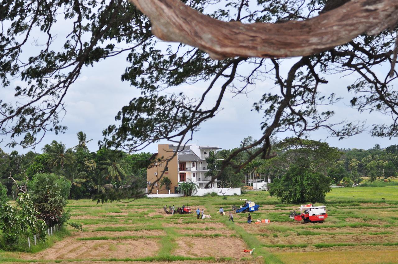 Green View Resort - Anuradhapura Eksteriør billede